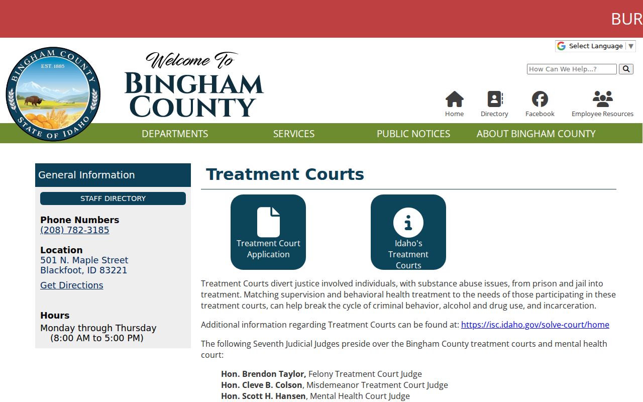 Bingham County treatment court programs